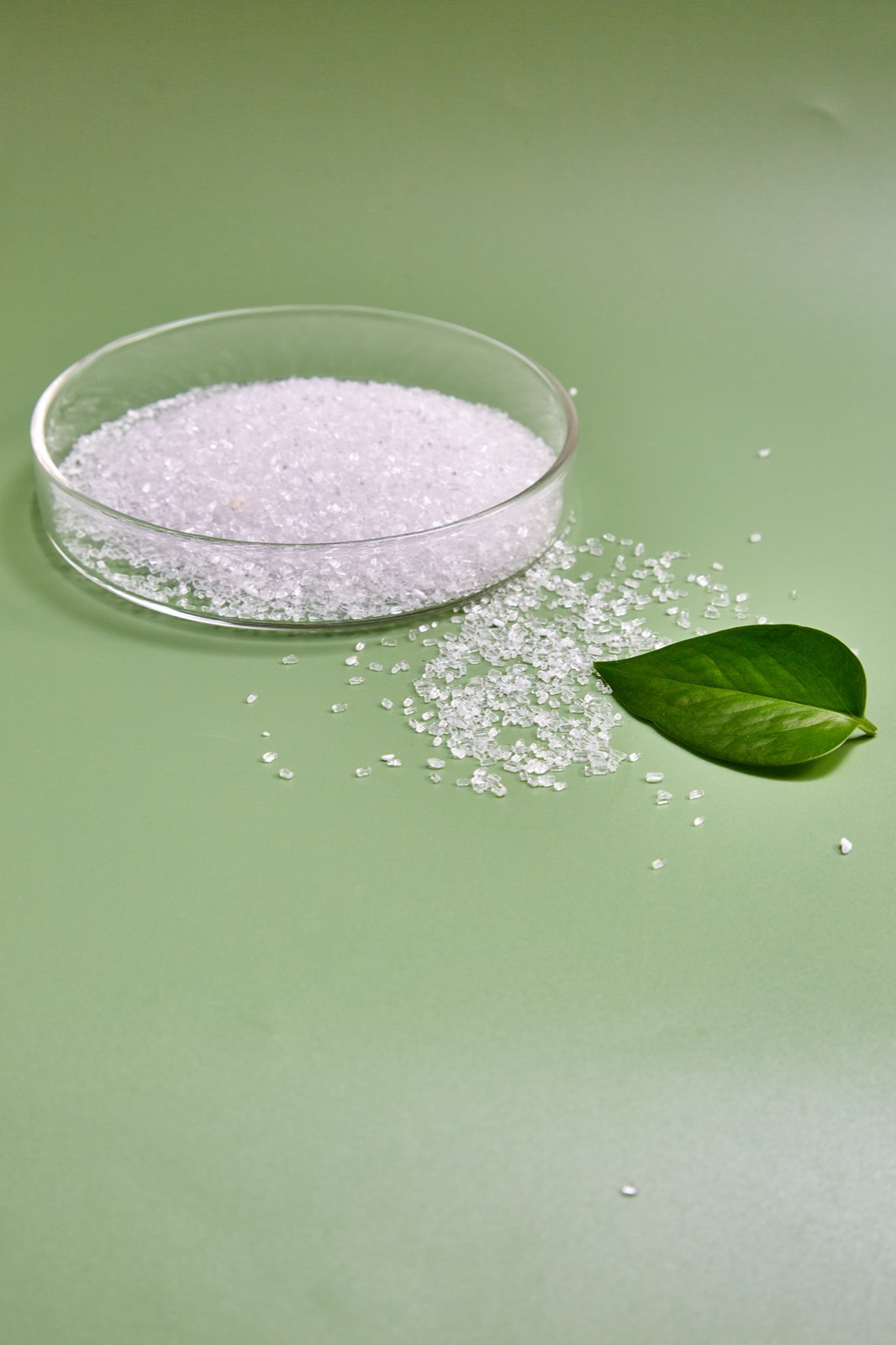 Magnesium Sulphate Heptahydrate Product photo 6