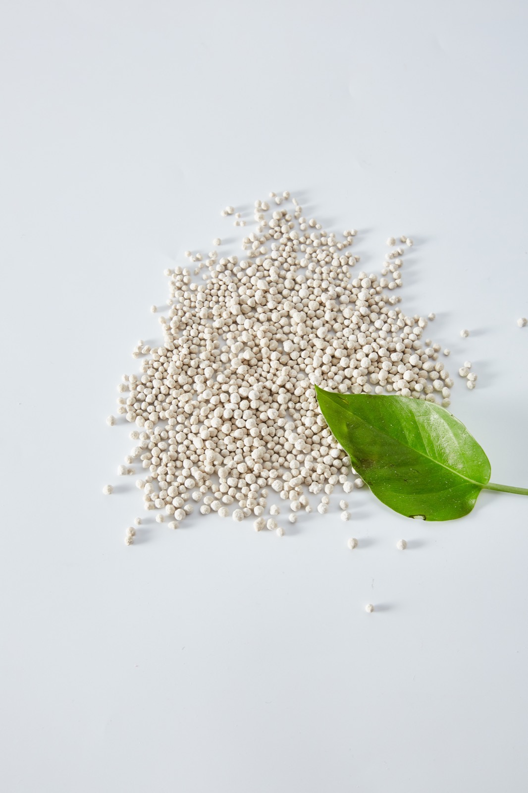 Fertilizante de azufre y magnesio Foto del producto 12