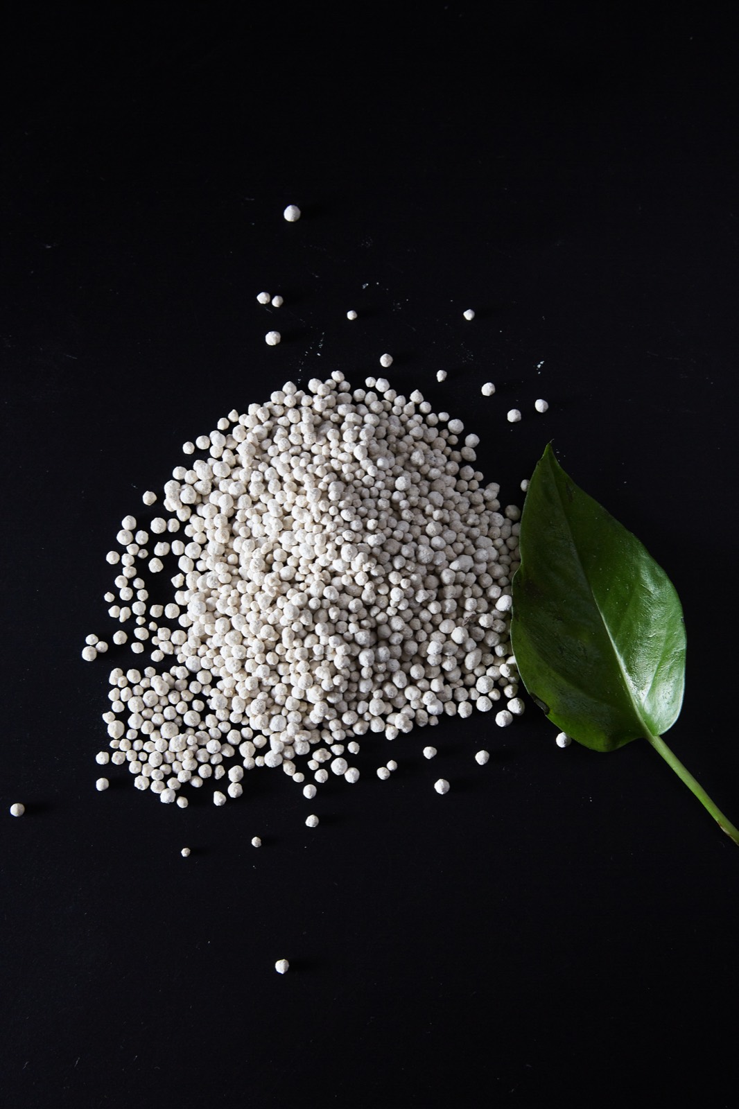 Fertilizante de azufre y magnesio Foto del producto 19
